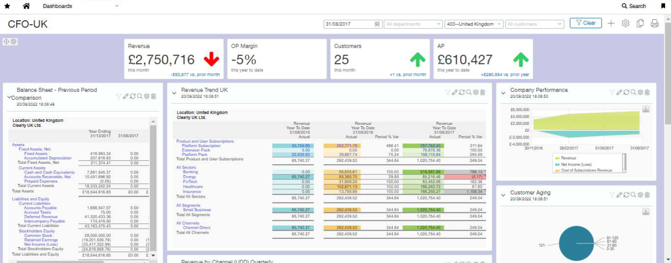 Sage Intacct CFO dashboard